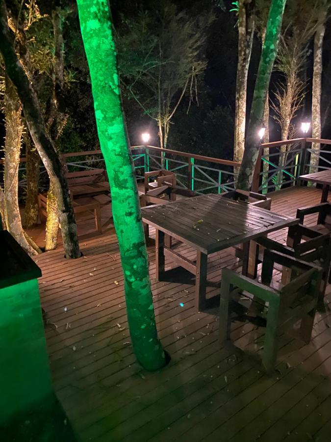 2 Suite, 1 Dormitorio Em Meio A Mata Araucaria A 1,5 Km Centro, Altos De Грамаду Экстерьер фото